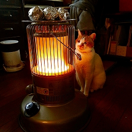 ストーブ+ねこ+焼き芋.jpg